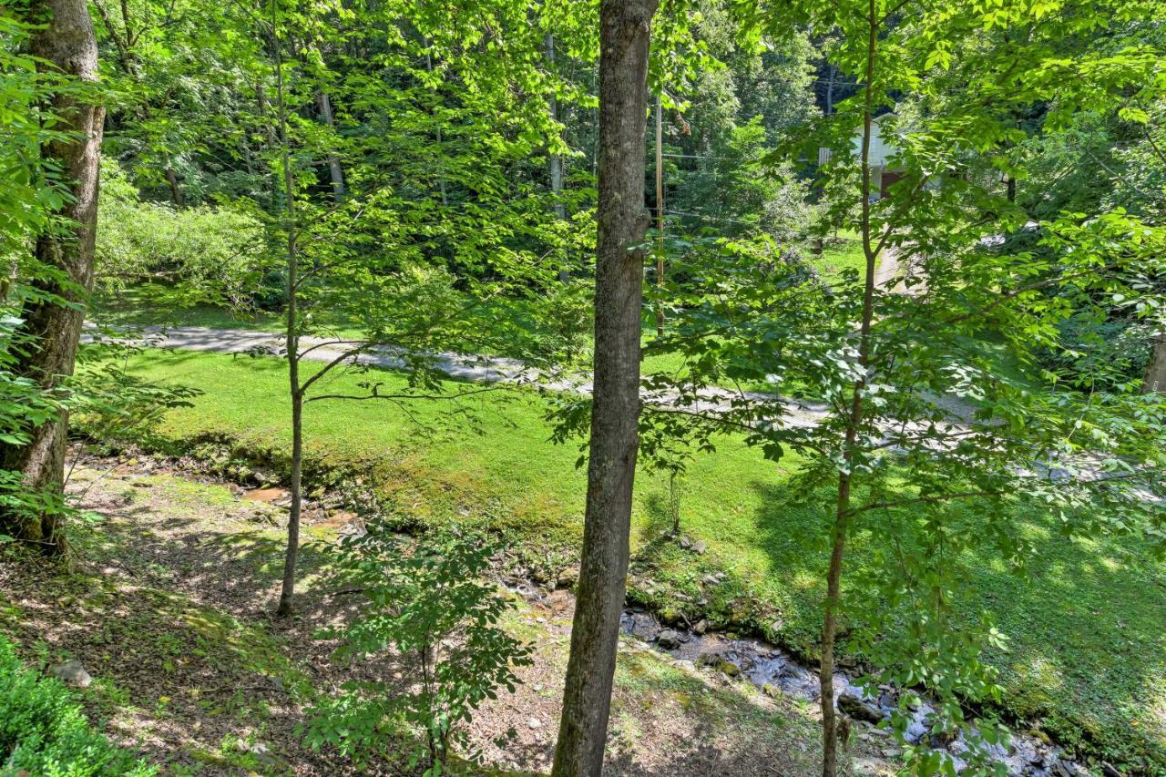 Tranquil Creekside Cottage With Deck And Lanai Franklin Eksteriør billede